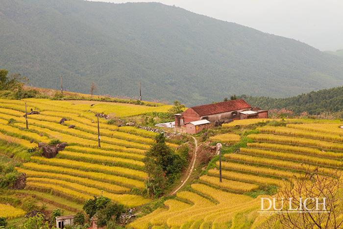 Huyện Bình Liêu đang xây dựng, phát triển sản phẩm du lịch Ruộng bậc thang thành Hội mùa Vàng 